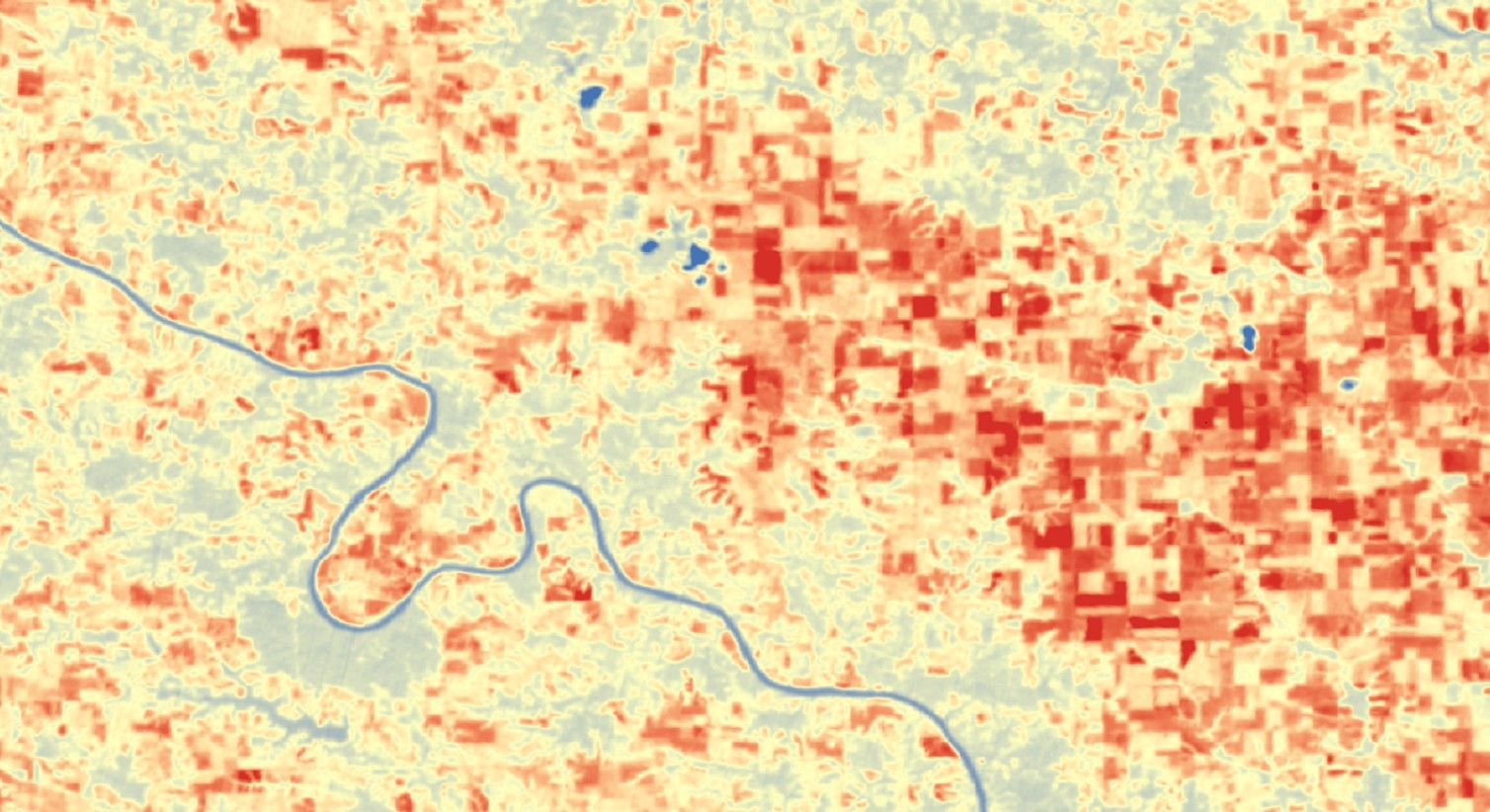 Land surface temperature (LST) derived from September 2018 Landsat 8 TIRS data, processed with bands 4,5, and 10. This image was taken over southeastern Iowa around the Des Moines River. The darkest red values indicate higher temperatures around 40˚C while the darkest blue values indicate the lower temperatures around 24 ˚C. Higher temperatures indicate greater amounts of plant stress.