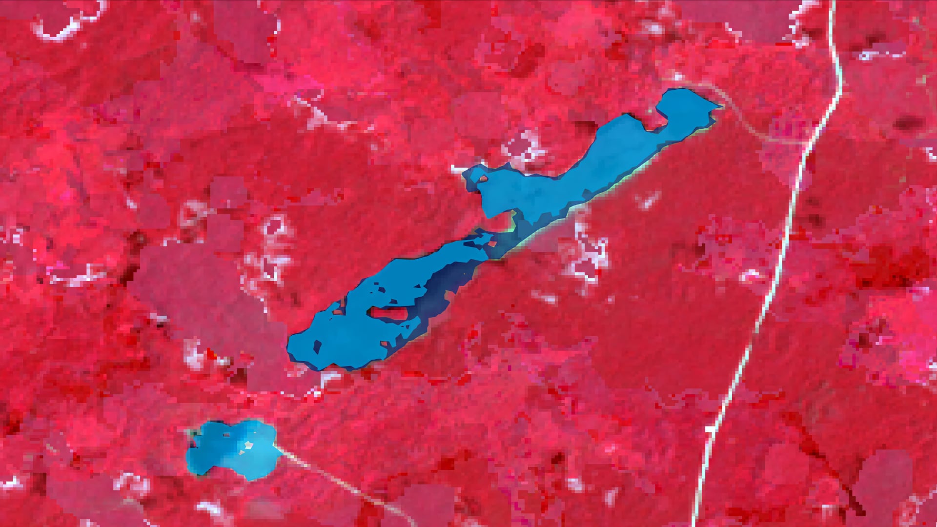 Composited Landsat 8 imagery from March - May 2020 with a false color band combination (5, 4, 3). Dark red represents dense vegetation while light red represents less dense vegetation. Open water masks were applied to ALOS-PALSAR-1 images to delineate the water body extent of Laguna Seca in Belize between June 2008 (light blue) and after Tropical Depression 16 in October 2008 (dark blue). Environmental departments can make informed management decisions by monitoring flood-prone areas.Keywords: Kat Tafoya, ALOS PALSAR 1, Landsat 7, seasonal inundation, forest canopy, wetlands, L-band SAR