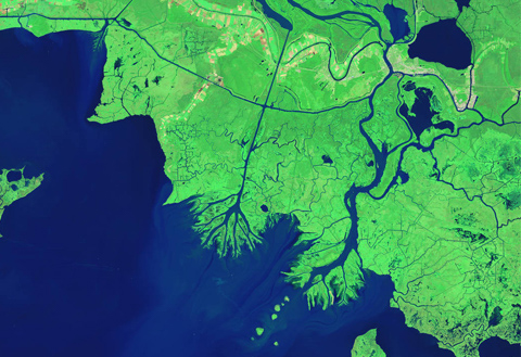 Bringing back the bayou: NASA helps Louisiana wetlands avoid bleak future