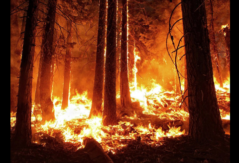 Assessing US Fire Risks Using Soil Moisture Satellite Data