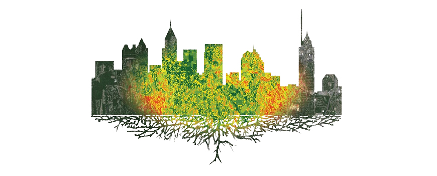 Earth observations help Atlanta manage water, urban forests