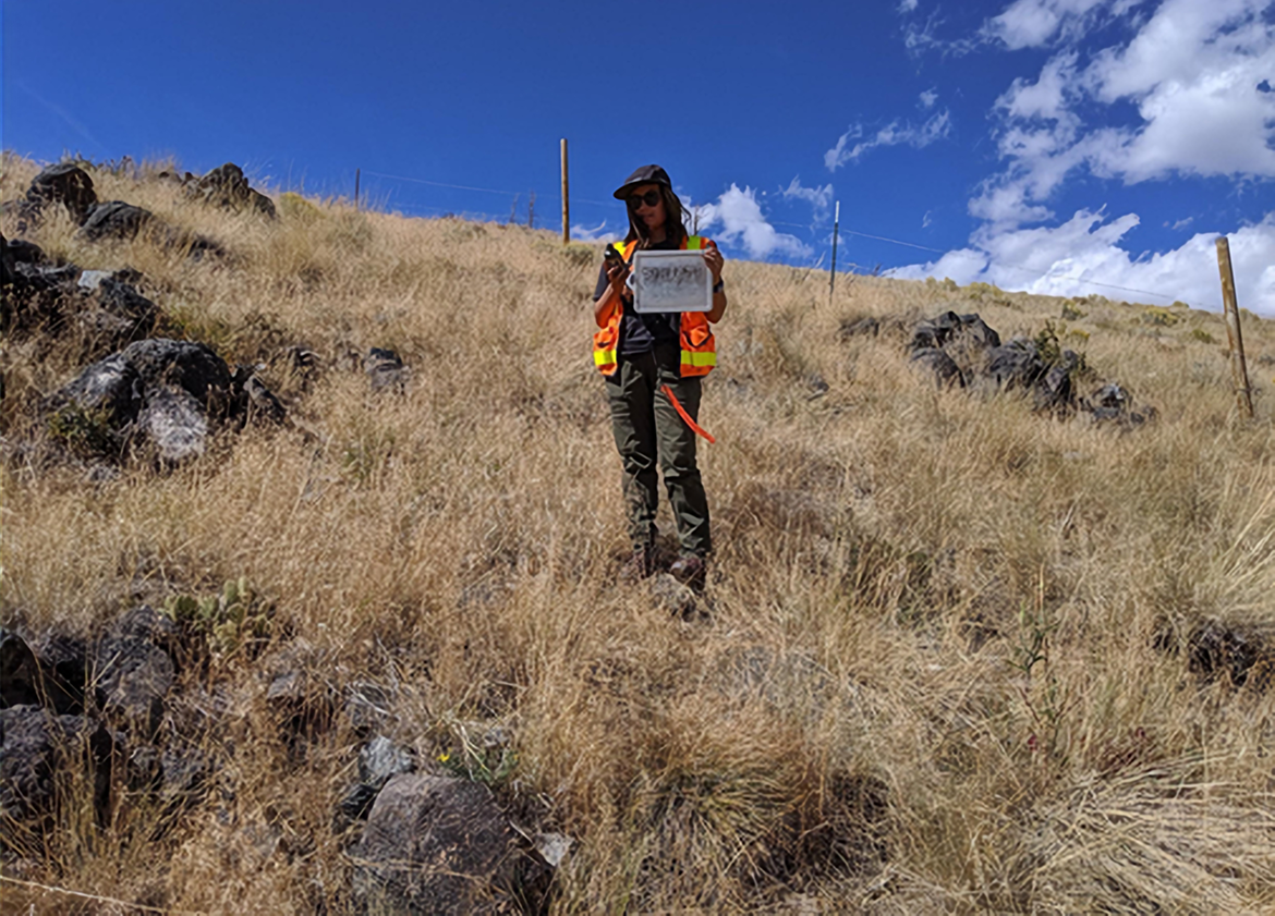 Project Lead Chiara Phillips taking GPS location of a sample plot containing 40+% cheatgrass while sampling in the Squirrel Creek Fire Boundary, Medicine Bow National Forest.