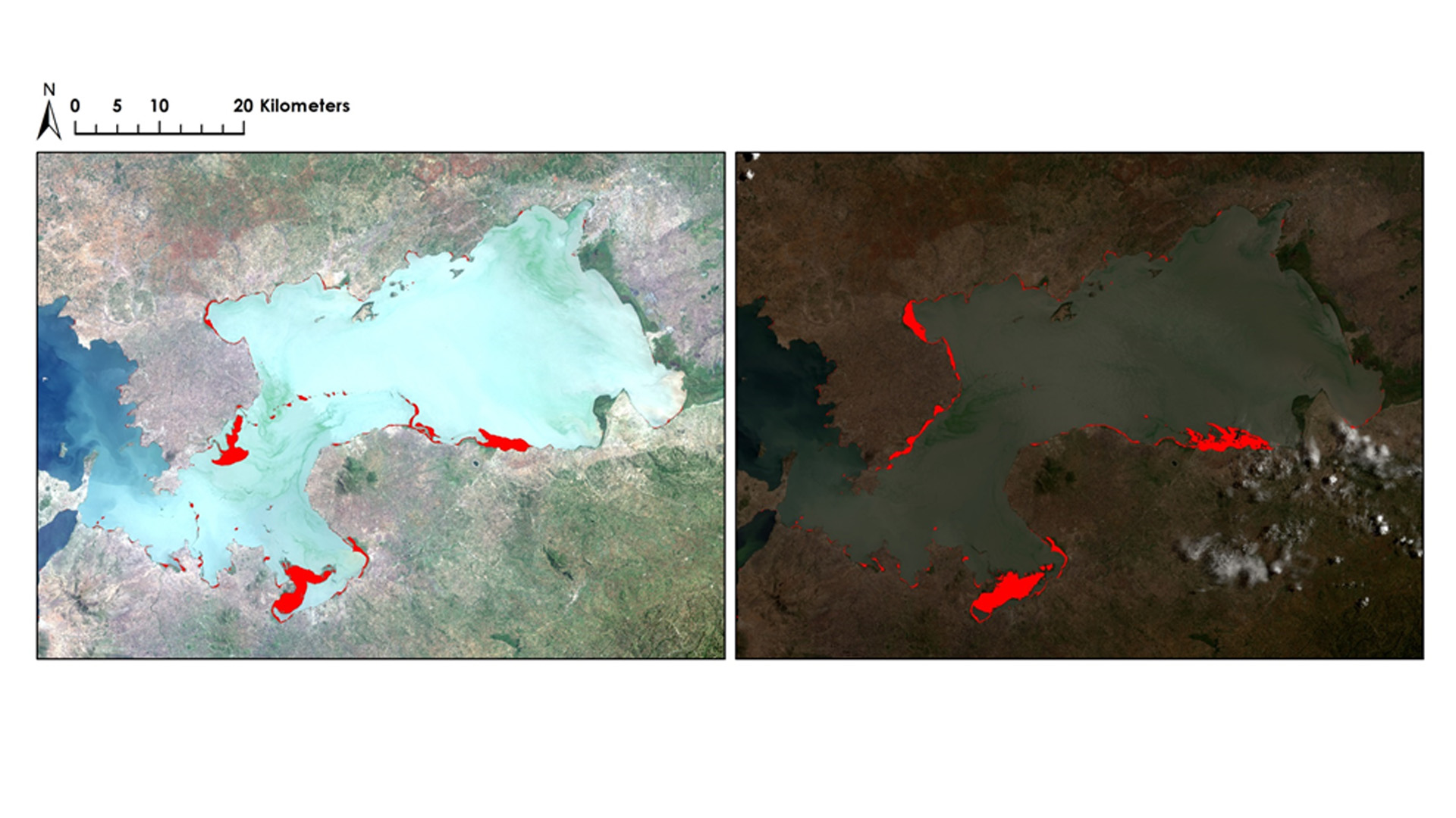 Example of aquatic surface vegetation extent in Winam Gulf, Lake Victoria using the Surface Aquatic Vegetation Toolbox. Image Credit: Lake Victoria Water Resources III Team.