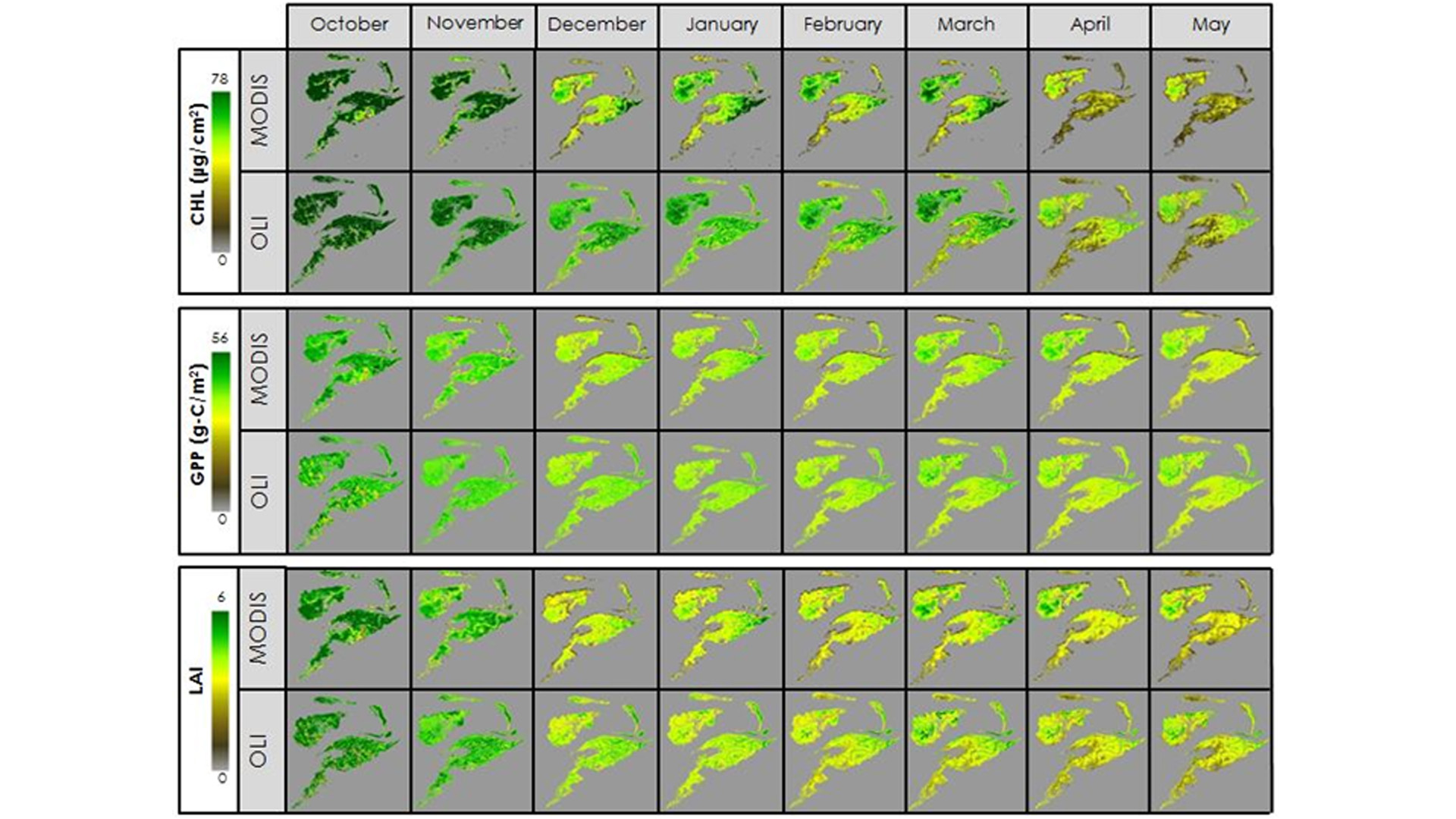 Seasonal variability in leaf chlorophyll content derived from multiple sensors including Landsat 8-OLI, Terra-MODIS, Senrinel-2-MSI, and Terra-ASTER. Image Credit: Eastern India Ecological Forecasting Team.