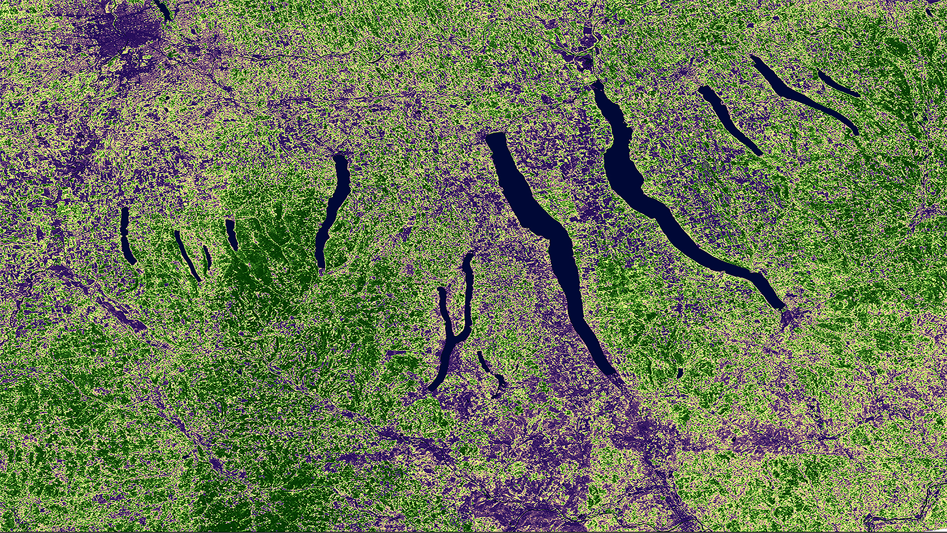 Enhanced Vegetation Index (EVI) calculated from Landsat 8 Operational Land Imager(OLI) in 2019.  Central New York is a high production region for maple syrup. Purple pixels indicate urban or highly developed areas, black pixels indicate water, and darker green pixels represent highly vegetated areas. Areas of higher vegetation will be more suitable for sugarbush locations. This will help maple producers identify suitable sugar maple tree habitats.Keywords: EVI, Landsat 8 OLI, sugarbush, New York
