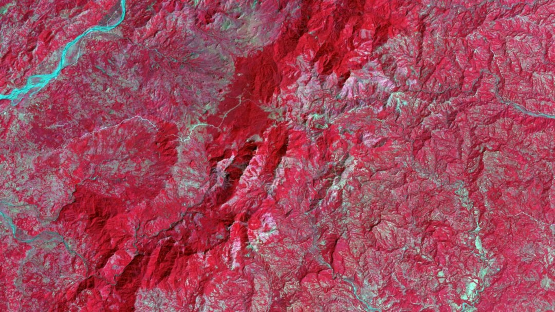 Landsat 8 Operational Land Imager multi-year composite 2017 to 2019. The false color band combination 4, 3, 2 shows land cover distinctions of Southern Panay Island in the Philippines. Primary Forest is represented by the darker red shade along the center. Lighter shades of red indicate Secondary Forest cover. Distinct shades of brighter blue characterize urban areas of the island. Displaying differences in land cover can assist with identifying favorable habitats for endemic species.Keywords: Visayan Islands Ecological Forecasting