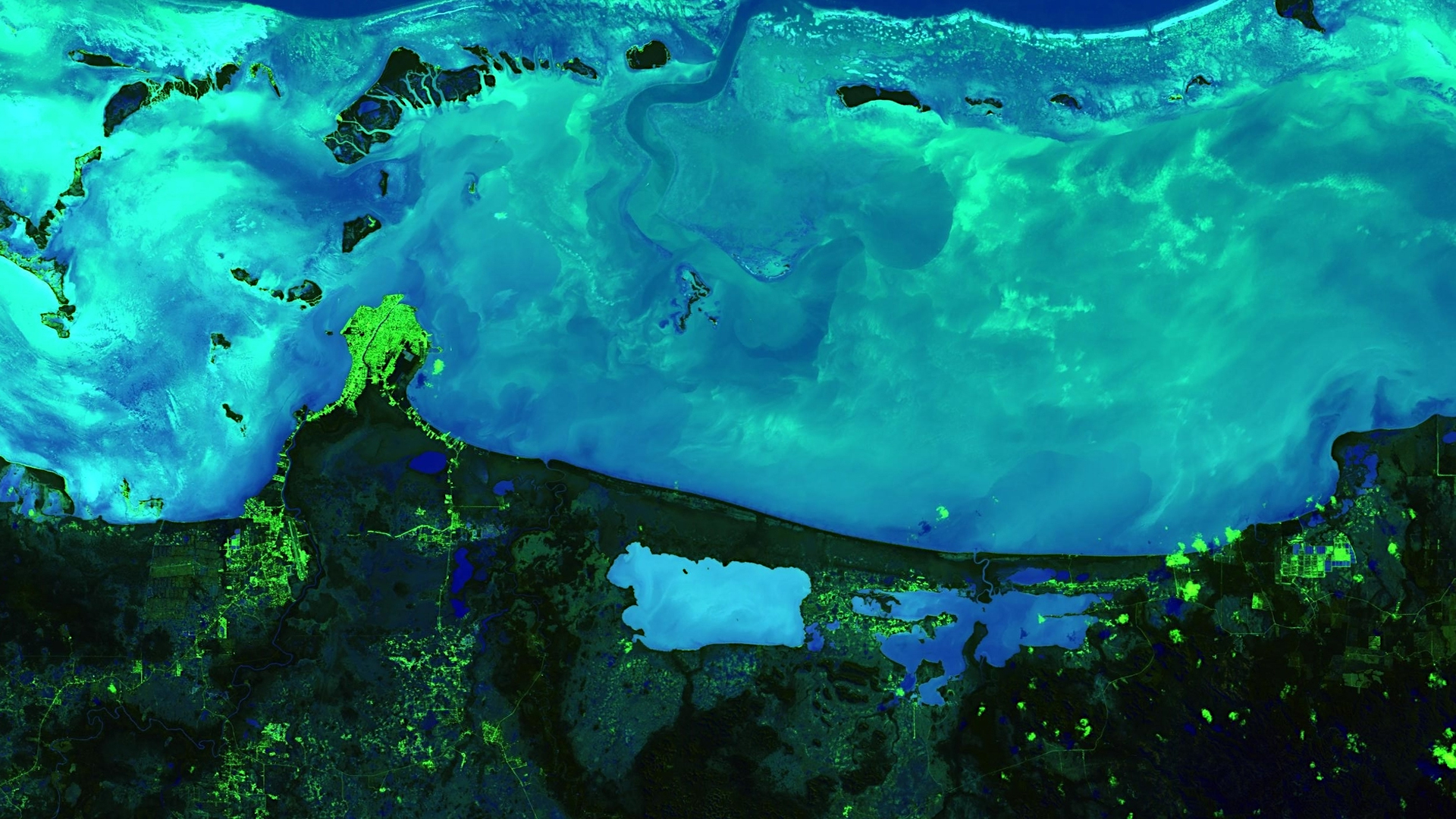 Colored Dissolved Organic Matter (CDOM) derived using Landsat 8 OLI data on January 28th, 2019 off the coast of Belize City. Darker shades of blue indicate higher levels of CDOM, while lighter blue shades show lower levels of CDOM in the coastal and inland waters. Very high levels of CDOM can inhibit photosynthesis; thus, the visualization of CDOM allows coastal management to identify regions where reef health and water quality are at risk.Keywords: Landsat 8, CDOM, Belize