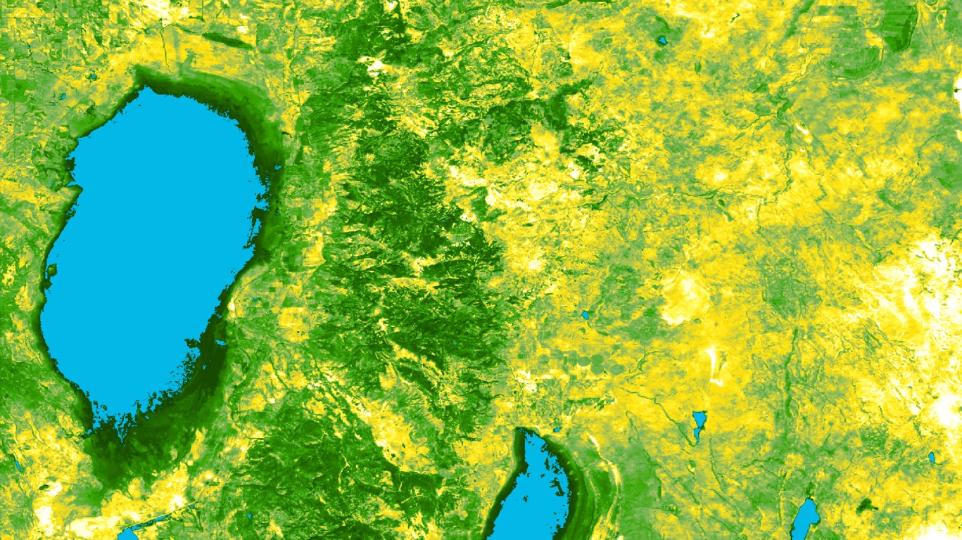 This is an image of the Normalized Difference Bareness Index derived from a 2018 median composite of Landsat 8 OLI data across the border of Nevada & Oregon. The values range from light yellow (high bare ground/low vegetation) to dark green (low bareness/high vegetation). Blue represents water. Bare ground measurements allow partners to better direct their invasive species mitigation efforts as they have identified such areas to be particularly at risk of invasion.