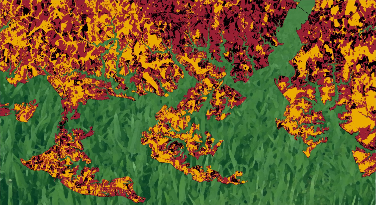 Imagery displaying Normalized Difference Vegetation Index (NDVI) values calculated from 2018 Landsat 8 OLI data and cropped to a subset of Eastern Maryland bordering the Chesapeake Bay. Black areas correspond to regions of low vegetation density, red to medium vegetation density, and yellow to high vegetation density. Within agricultural regions, low NDVI may indicate areas in which local stakeholders could commit additional resources. Water has been replaced with a stylized cover crop image (green).