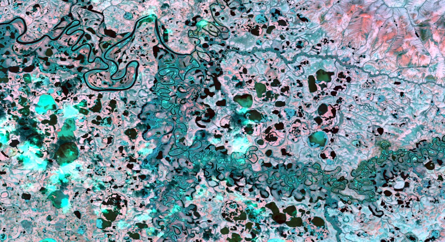 Normalized Difference Water Index-processed imagery using 2017 Landsat 8 OLI data with modified true color bands. Black represents open water, light blue represents inundated vegetation, and pink represent upland areas. This image was taken of Selawik, AK, and can aid in identifying wetland inundation and extent. title=