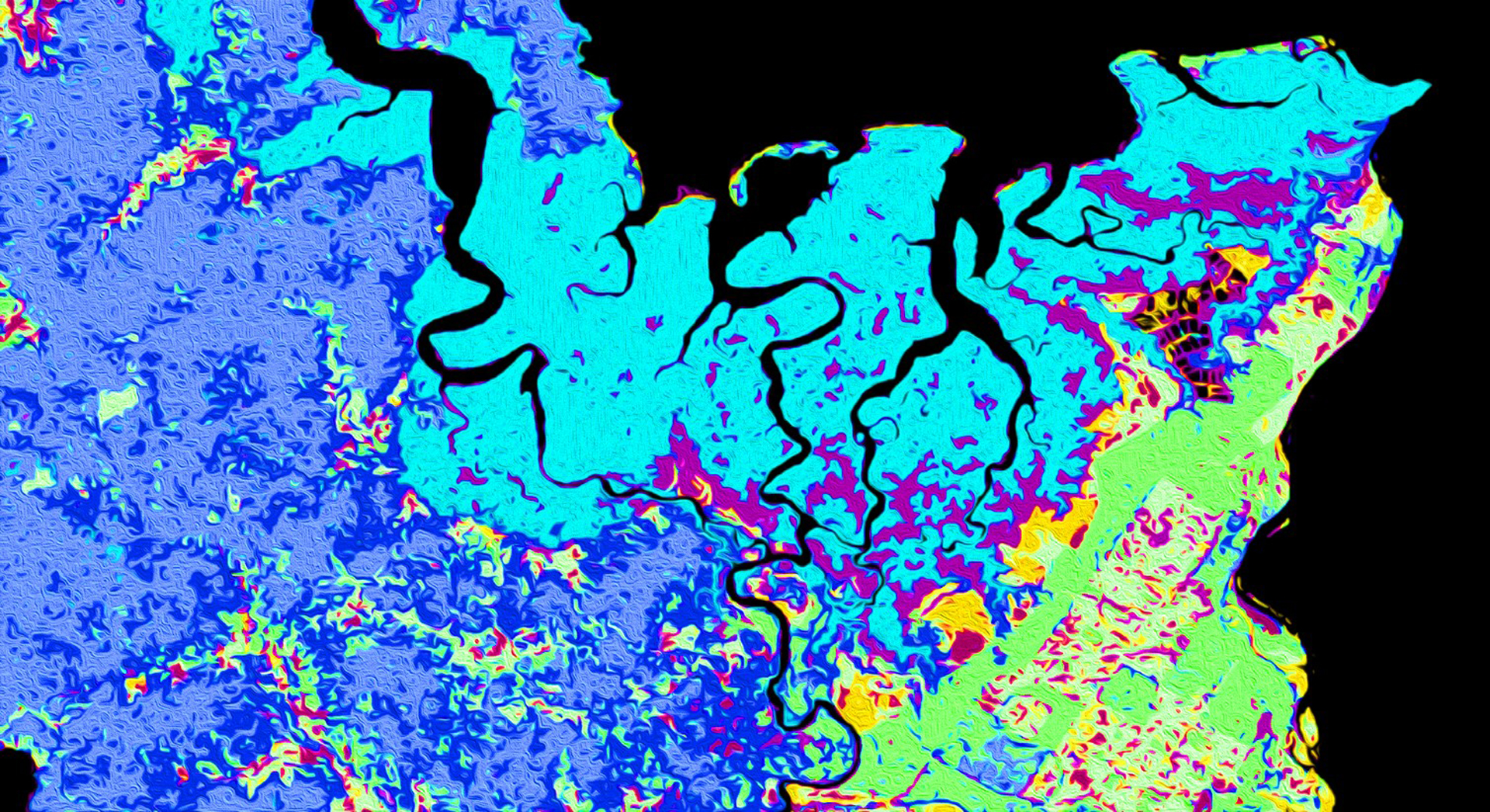 Landsat 8 Operational Land Imager (OLI) 2018 through 2019 surface reflectance data were used to distinguish land use and land cover in the southern Puntarenas Province, Costa Rica, specifically around the Terraba Sierpe National Wetlands. These data were used to inform a land trend analysis to forecast land cover to 2030. Highlighted features include mangroves shown in turquoise, primary and secondary forest shown in light and dark blue and palm plantations shown in green.