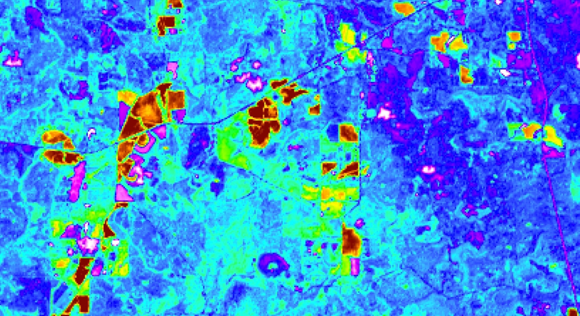 This is an EVI-processed image obtained from Landsat 8 OLI on August 12th, 2018, with a band combination of band 2, 5,and 4. Displayed is the Conecuh National Forest in southern Alabama. Warmer red-colored areas display areas of less dense vegetation, while blue-cooler colored areas display more dense vegetation in the area. Obtaining knowledge on the density of the vegetation allows the US Forest Service to better inform its conservation efforts for the gopher frog.
