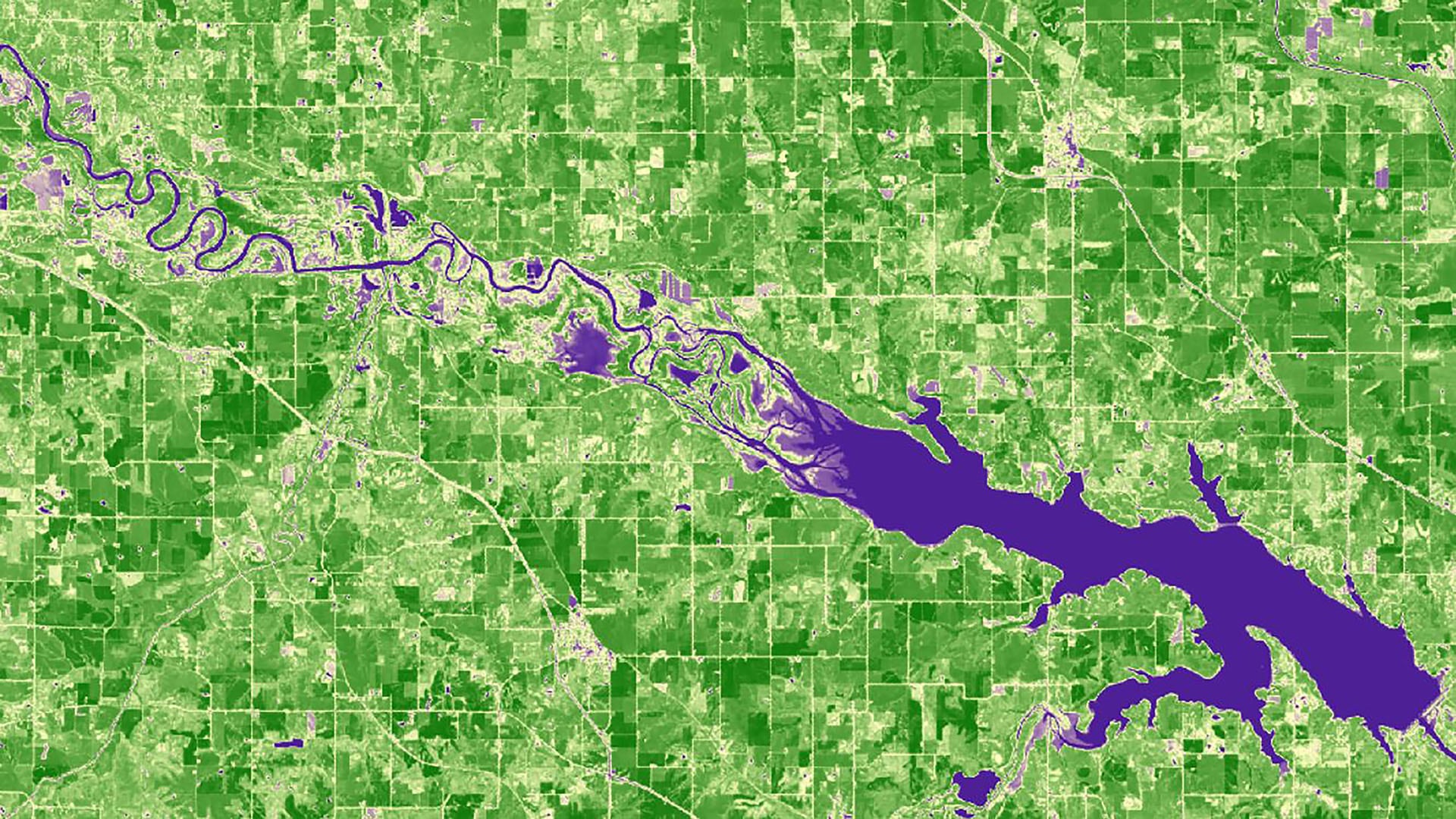 Displayed is a processed NDVI (Normalized Difference Vegetation Index) image using 2019 Landsat 8 Operational Land Imager red and near infrared bands. The Image shows agricultural zones in Polk County, Iowa. Darker green shades indicate dense healthy vegetation whereas lighter green shades indicate less dense or moderately healthy vegetation. Purple shades indicate water, and wetlands. NDVI values can be used as a proxy of a crop’s performance and help farmers monitor their crops' progress.Keywords: Olivia Landry (Project Lead), Liam Bhajan, Otto Castillo Altun, Owen Smith, NDVI, Landsat 8 OLI