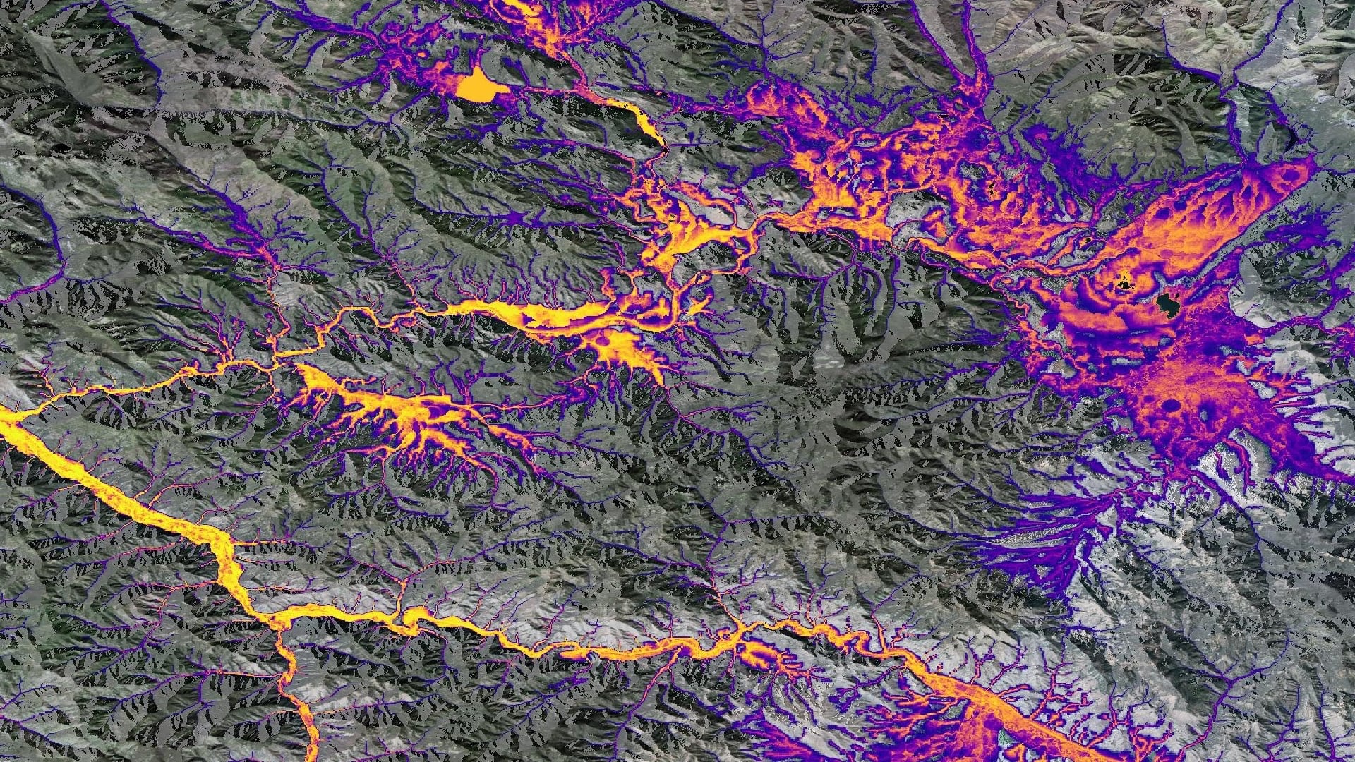 Habitat suitability prediction model for mink (Mustela vison) near Missoula, Montana. Yellow areas indicate higher probability for suitable habitat, and purple indicates lower probability. This map can direct study locations for researchers investigating contaminant levels among bioindicator species. Data were derived from Landsat 8 OLI imagery, HAND, SRTM, GPM IMERG, Terra MODIS LST & Burned Area Monthly Global, and USGS National Land Cover Database. All composite data were collected from 2013 to 2020.Keywords: Western Montana, riverine ecosystems, environmental contaminants, SAHM, bioaccumulation