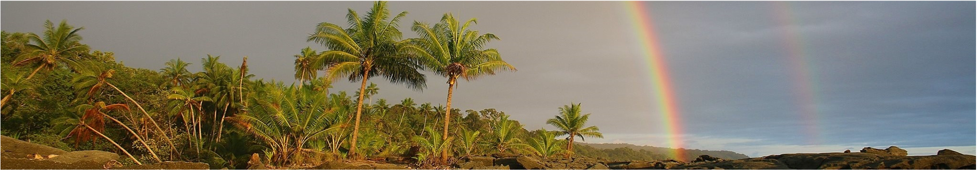 View of the coastal landscape of the Osa Peninsula with overhead rainbows. Image credit: Osa Conservation (https://osaconservation.org/)