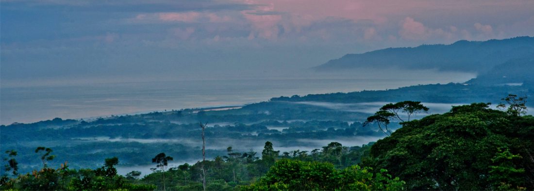 View of the landscape of the Osa Peninsula. Image credit: Osa Conservation (https://osaconservation.org/)