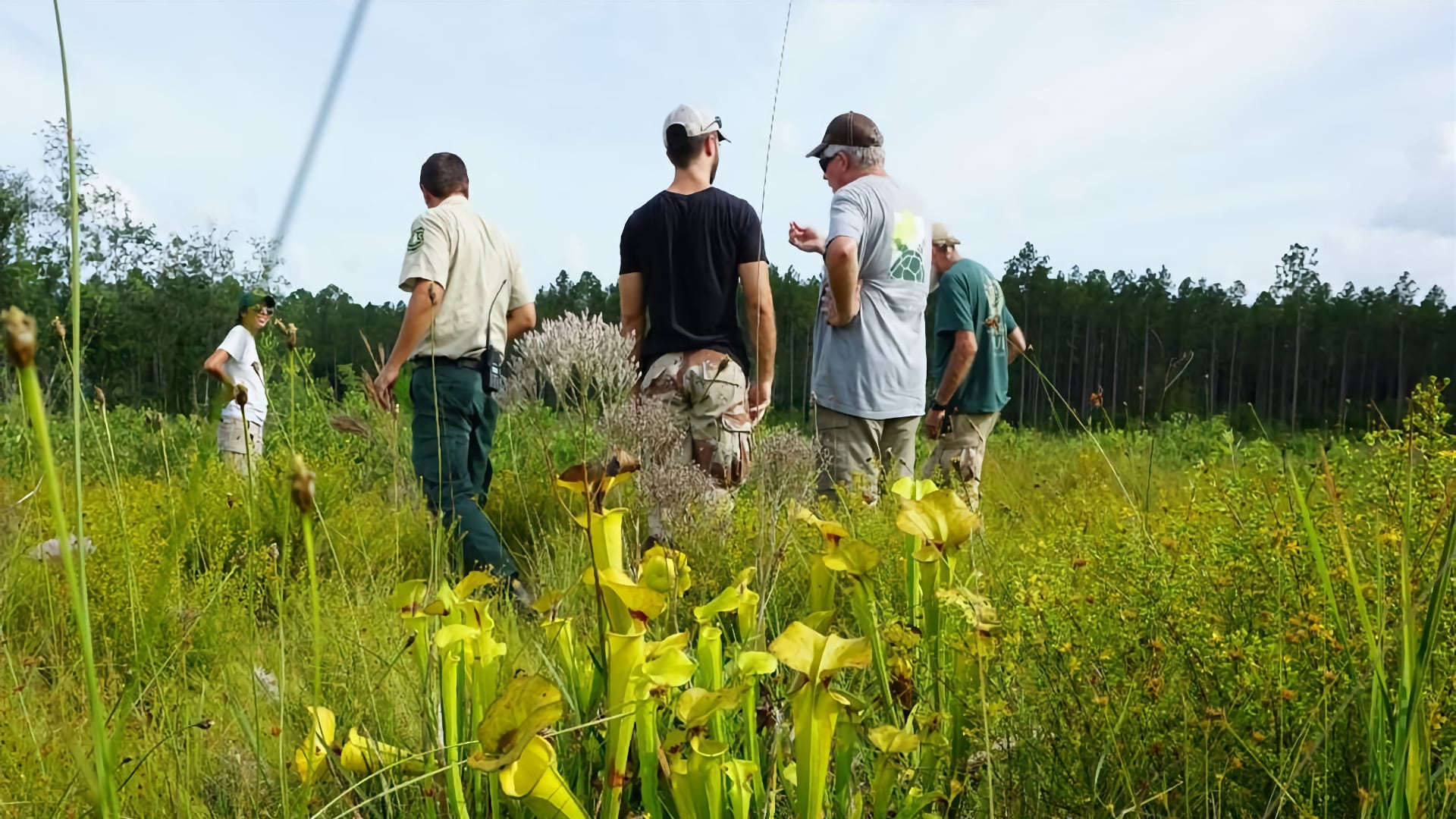 The NASA DEVELOP team joined their partners for a day of data collection in Conecuh National Forest. Image credit: NASA DEVELOP