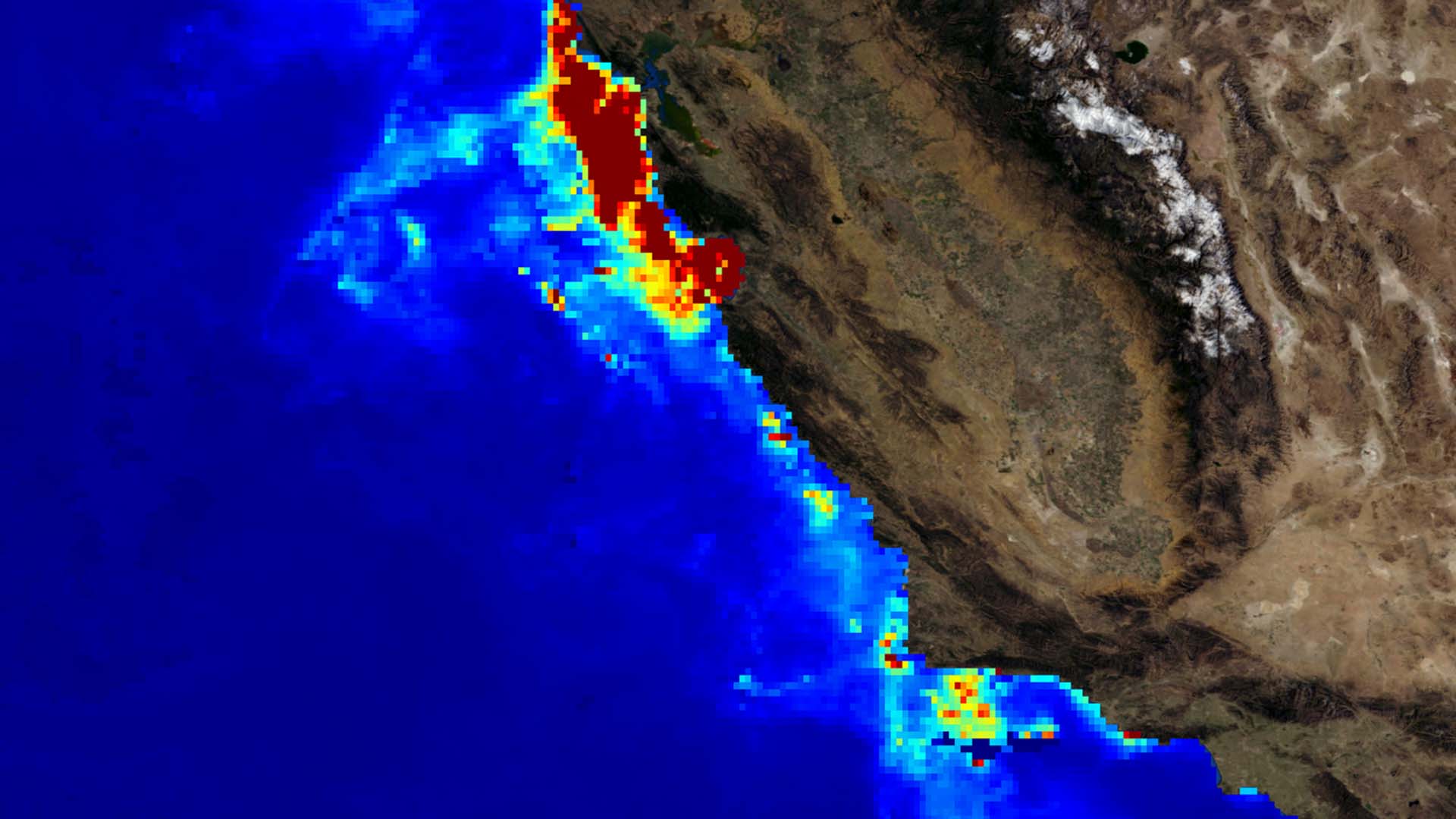 Composite of average June 2018 MODIS Aqua chlorophyll-a data and the California coastline from USGS Imagery Only. High chlorophyll-a values are indicated by red and low by dark blue. Image credit: NASA DEVELOP