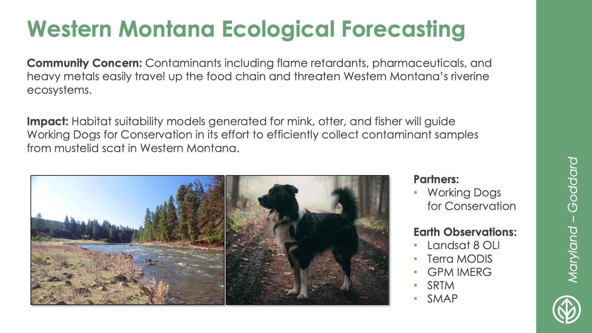 Slide title: Western Montana Ecological ForecastingDEVELOP Node: Maryland - GoddardCommunity Concern: Contaminants including flame retardants, pharmaceuticals, and heavy metals easily travel up the food chain and threaten Western Montana’s riverine ecosystems.Impact: Habitat suitability models generated for mink, otter, and fisher will guide Working Dogs for Conservation in its effort to efficiently collect contaminant samples from mustelid scat in Western Montana.Partners: Working Dogs for ConservationEarth Observations: Landsat 8 OLI, Terra MODIS. GPM IMERG. SRTM, SMAP